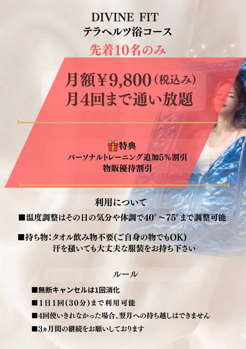 テラヘルツチラシ
